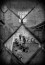 Guantanamo: Inside the Wire 